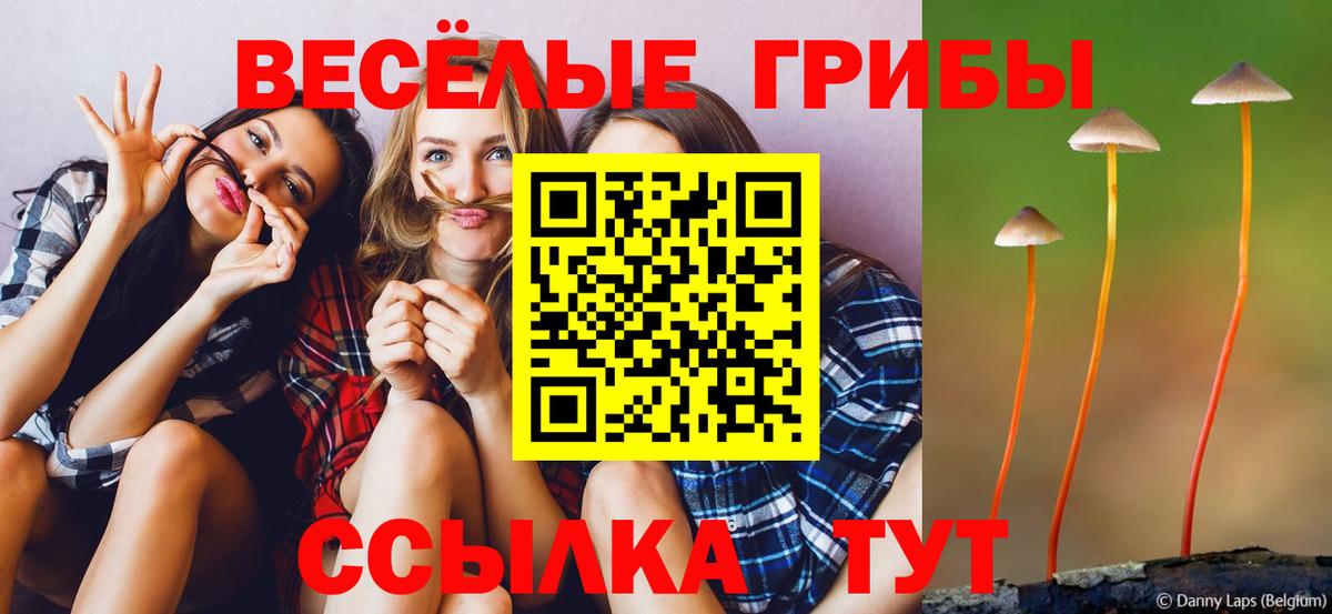 Всеволожск  Галлюциногенные грибы GOLDEN TEACHER  наркота  Вход с VPN  Галлюциногенные грибы мухоморы 